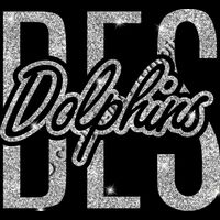 GLT95 SILVER GLITTER Thumbnail